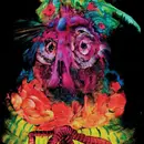 LP - Quest For Fire - Lights From Paradise - Purple