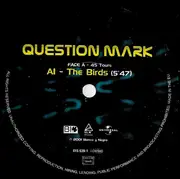 12inch Vinyl Single - Question Mark - The Birds