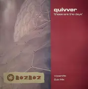12inch Vinyl Single - Quivver - These Are The Days