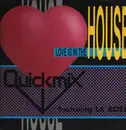 12inch Vinyl Single - Quickmix - Love Is In The House