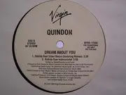 12inch Vinyl Single - Quindon - Dream About You