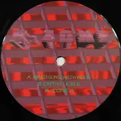 R-zone - R-Zone 15