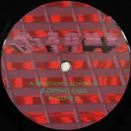 R-Zone - R-Zone 15