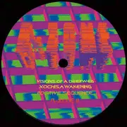 12inch Vinyl Single - R-Zone - R-Zone 11