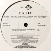 12inch Vinyl Single - R. Kelly - Snake (Remix)