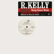 12inch Vinyl Single - R. Kelly - Ignition (Slang Dance Mixes)