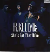 12inch Vinyl Single - R. Kelly & Public Announcement - She's Got That Vibe