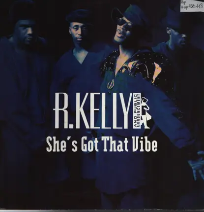 R. Kelly & Public Announcement - She's Got That Vibe