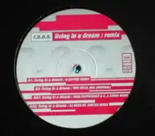 R.O.O.S - Living In A Dream (Remix)