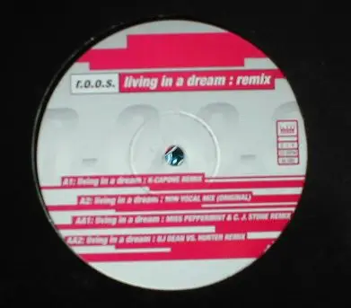 R.O.O.S. - Living In A Dream (Remix)