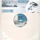 12'' - r.o.o.s. - Living In A Dream