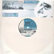 12'' - r.o.o.s. - Living In A Dream