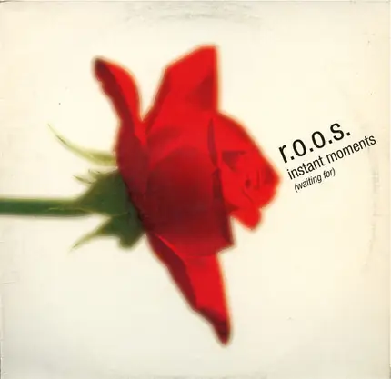 R.O.O.S. - Instant Moments (Waiting For)