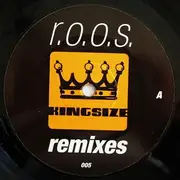 12inch Vinyl Single - R.O.O.S. - Instant Moments Remixes
