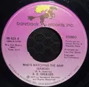 7inch Vinyl Single - R.B. Greaves - Who's Watching The Baby (Margie) / The Gods Watch All