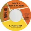 7'' - R. Dean Taylor - There's A Ghost In My House