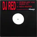 12inch Vinyl Single - R.E.D. - Where Are You Going To / Soul Keeper