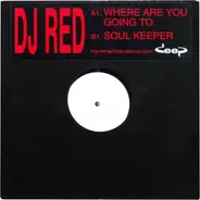 R.E.D. - Where Are You Going To / Soul Keeper