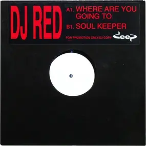 R.E.D. - Where Are You Going To / Soul Keeper