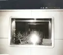 CD Single - R.E.M. - Electrolite