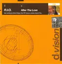 CD Single - R.I.O - After The Love - Promo Cardboard