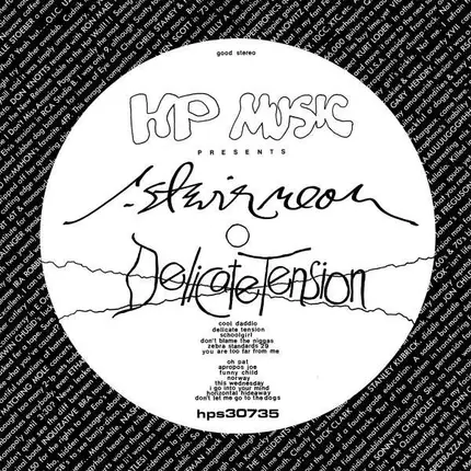 R. STEVIE MOORE - Delicate Tension