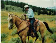CD - Ramblin' Jack Elliott - The Long Ride