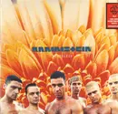 Double LP - Rammstein - Herzeleid - 180gr