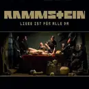 CD - Rammstein - Liebe Ist Für Alle Da - Digipak fold-out