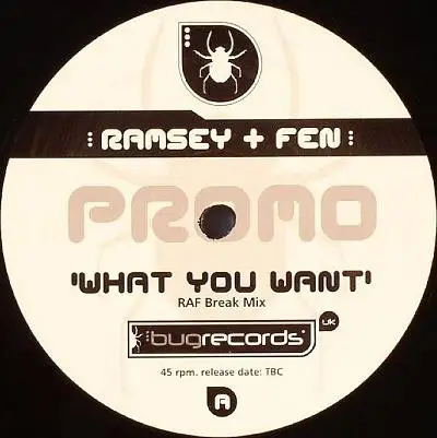 Ramsey & Fen - What You Want / Playboy