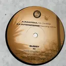 12inch Vinyl Single - Rantoul / Intersperse - On The Edge / Haunting Winds - No cover