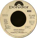 7inch Vinyl Single - Randall Bramblett - Crazy World