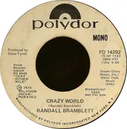 Randall Bramblett - Crazy World