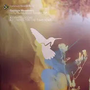 Random Movement - Lucky Guess Album Sampler Part 1