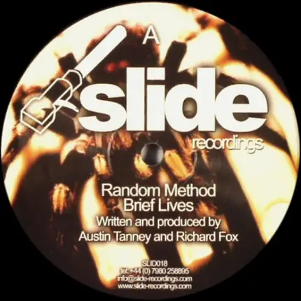 Random Method - Brief Lives / Electric Chair