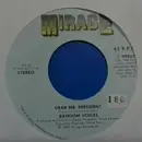 7inch Vinyl Single - Random Voices - Dear Mr. President