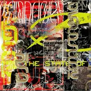 12inch Vinyl Single - Randomer - Hs002