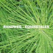 Randweg - Equisetales