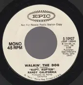 Randy California - Walkin' the Dog / Live For The Day