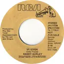 7inch Vinyl Single - Randy Gurley - If I Ever