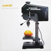 Rank 1 - Black Snow / The Citrus Juicer