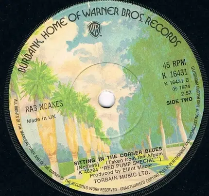 Rab Noakes - Branch