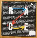 12inch Vinyl Single - Race - What Is Race / Luxury