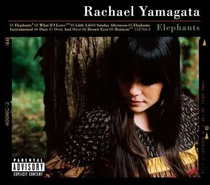 Rachael Yamagata - Elephants Teeth Sinking..