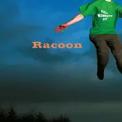 Racoon