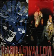 Double LP - Radical Stuff - Hardaswallow - Still Sealed