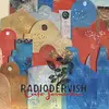 CD - Radiodervish - Café Jerusalem