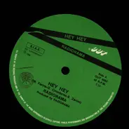 Radiorama - Greatest Hits & Remixes Vol. 2