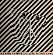 LP - Radio Zebra - Different Stripes For Different Types