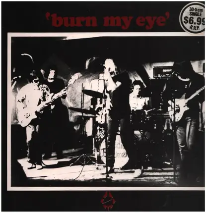 RADIO BIRDMAN - Burn My Eye